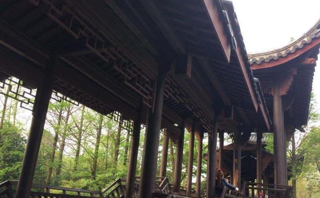Kaiyun体育网站：浙江“人气型”公园老少皆宜园内有罕见山地式建筑(图2)