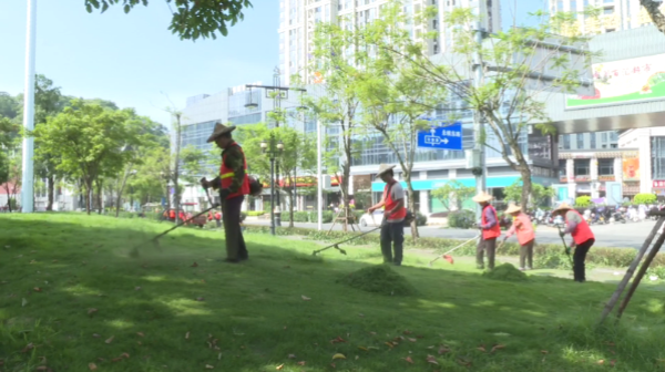泉州永春：夏季草木生长旺园林部门管护忙(图1)