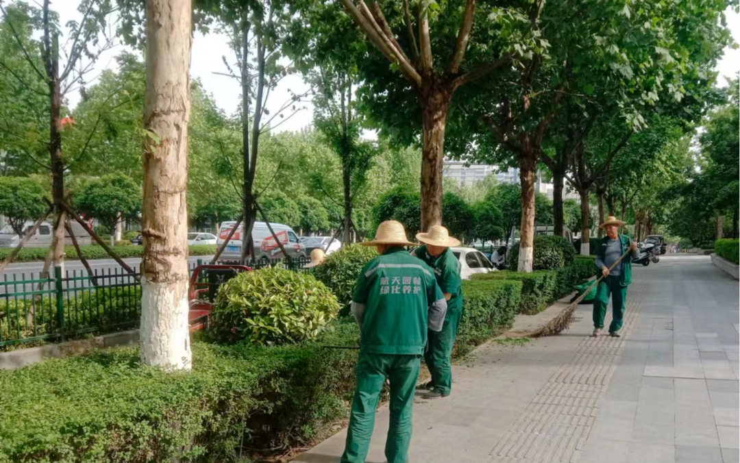 西安城管部门加大城市园林养护力度打造绿色宜居城市环境(图2)
