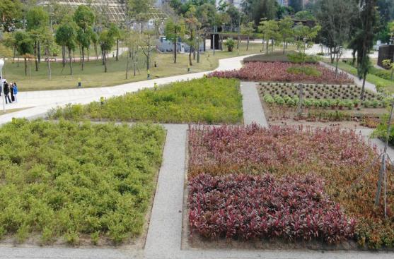 黄蜡石假山：园林景观的璀璨明珠自然山水景观黄蜡石堆砌设计(图3)