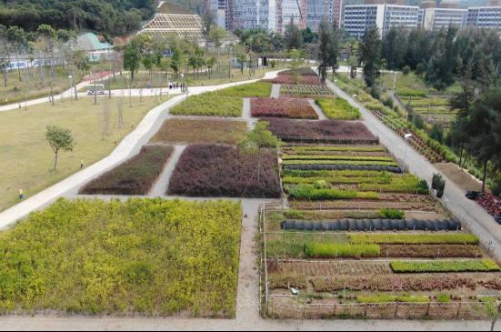 黄蜡石假山：园林景观的璀璨明珠自然山水景观黄蜡石堆砌设计(图2)
