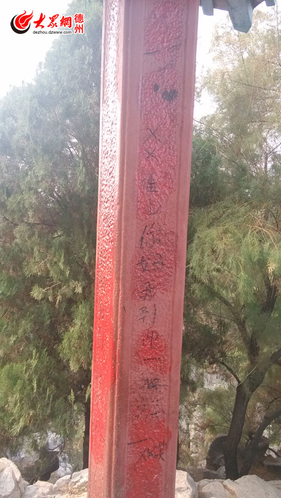 德州新湖景区内假山现中国式涂鸦山体布满字迹成“留言板”(图3)