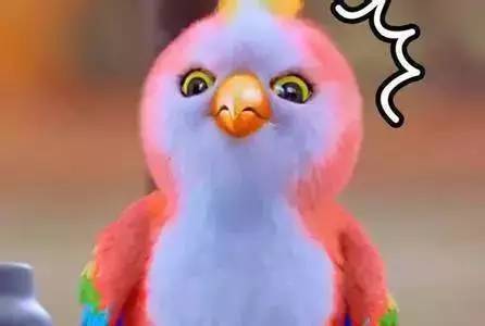 看腻了《楚乔传》里的假山假水假悬崖不妨走进华山来看看！(图2)