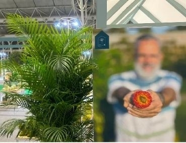 还有2天超级期待的上海园林景观展就要来了！(图2)