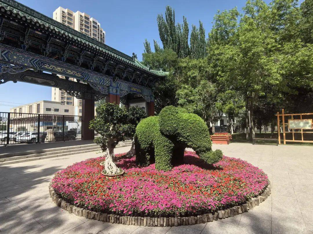 端午节快来打卡金昌这些公园景区拥抱浪漫夏日(图1)