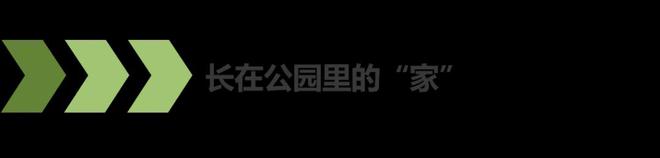 景观全维升级！跟随星光赏“绿”动夏天！(图10)