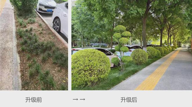 景观全维升级！跟随星光赏“绿”动夏天！(图9)