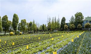 2023年中国园林景观行业发展前景分析(图3)
