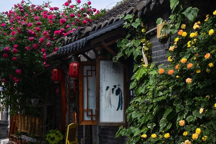 【何以中国·运载千秋】这里是扬州(图10)