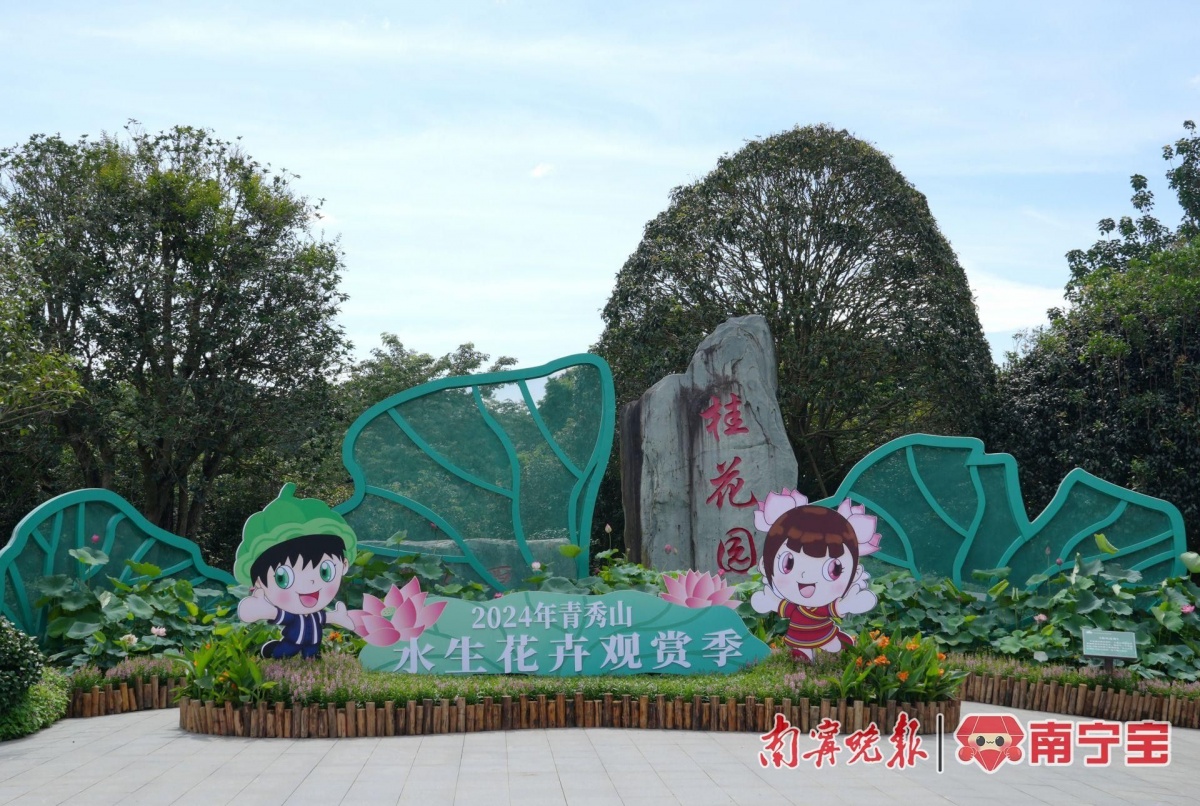 Kaiyun体育网站：多种罕见品种亮相南宁青秀山水生花卉观赏季来了(图1)
