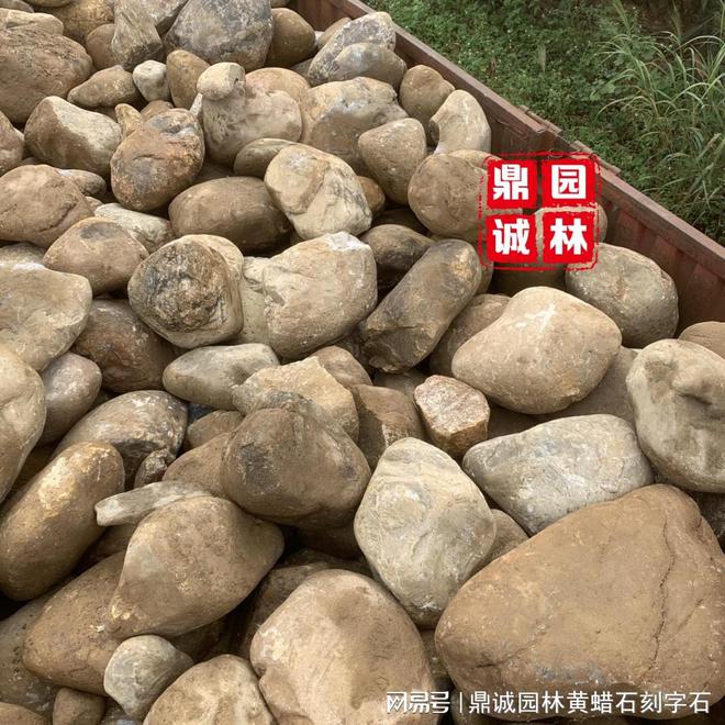 黑河市举办园林绿化技能竞赛(图3)