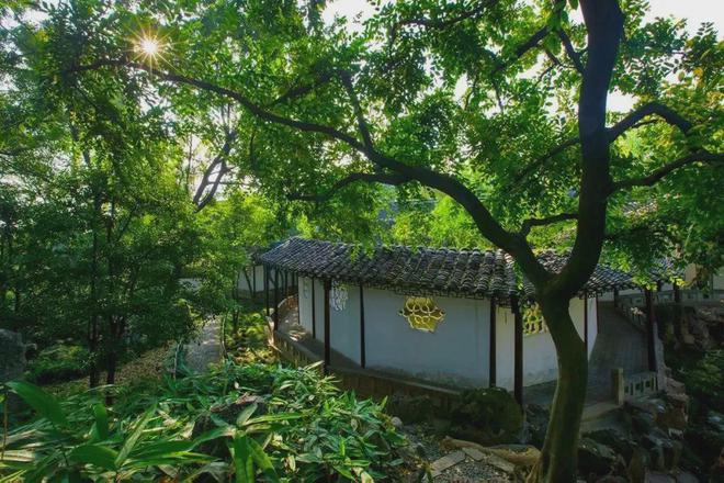 “最美园林线号线开启试乘！大量实景曝光…(图2)