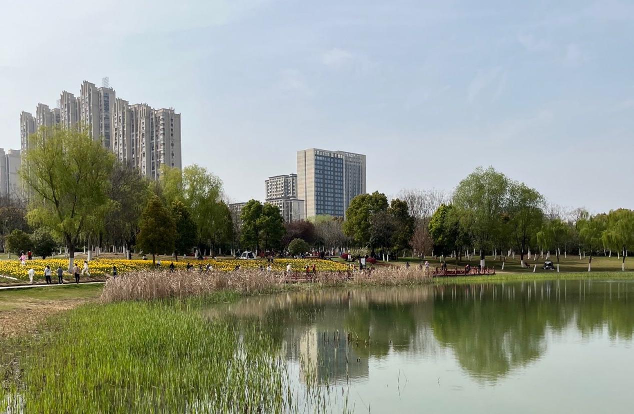 Kaiyun（中国体育）：湖山盛景丨探秘合肥最美带娃宝藏地(图4)