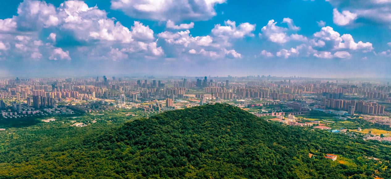 Kaiyun（中国体育）：湖山盛景丨探秘合肥最美带娃宝藏地(图1)