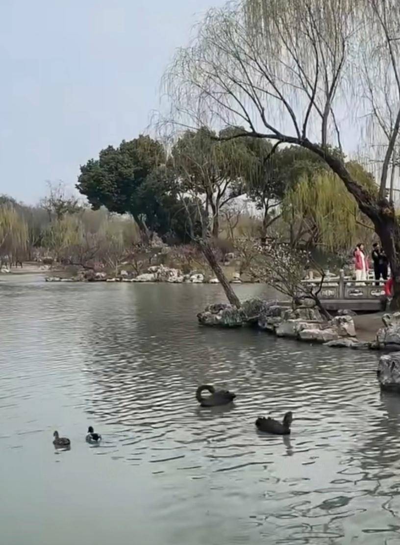 扬州瘦西湖景区令人依依不舍(图2)