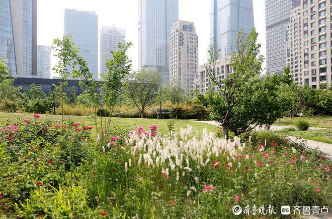 Kaiyun（中国体育）：历下园林：绘出最美底色着力擦亮城市品质(图7)