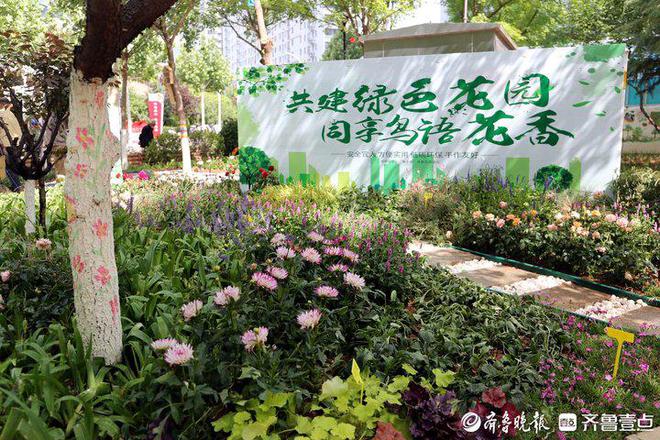 Kaiyun（中国体育）：历下园林：绘出最美底色着力擦亮城市品质(图5)