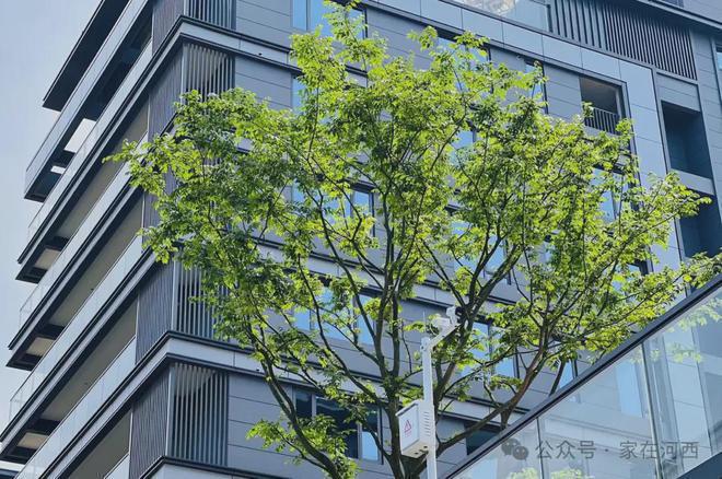 2024【湖南建投御湖印】准现房+9字头洋房【湖南建投御湖印】首页(图7)