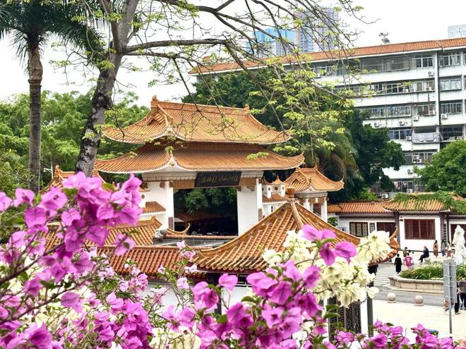 Kaiyun体育网站：深圳新增一国家4A级旅游景区！(图3)
