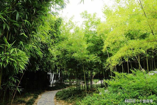 中国有名园林景观有哪些？(图7)