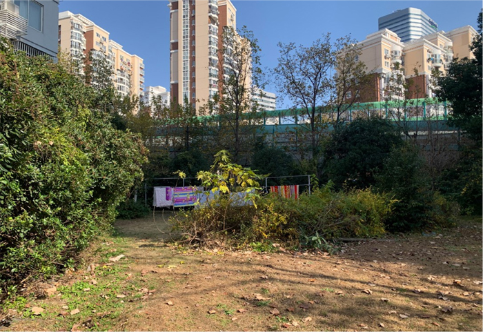 Kaiyun体育网站：长宁这个小区里有一片“城市森林”还隐藏了这么多巧思！(图5)