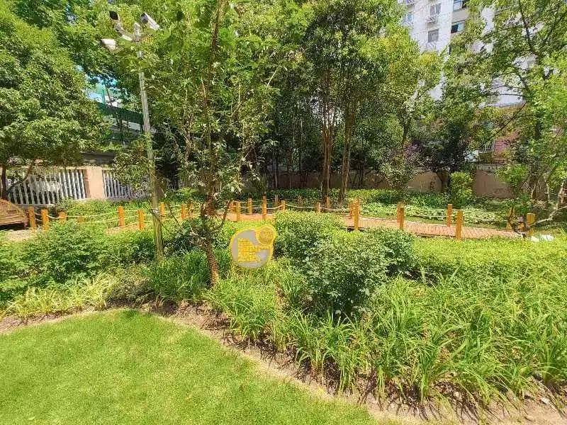 Kaiyun体育网站：长宁这个小区里有一片“城市森林”还隐藏了这么多巧思！(图7)