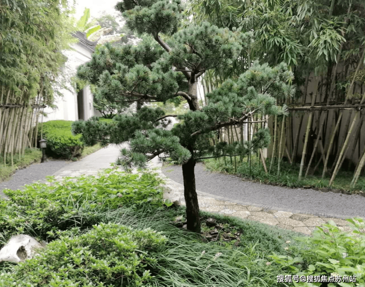 Kaiyun体育网站：苏州桃花源独栋别墅-苏州别墅多套房源可选私藏一座江南园林--看房预约热线(图9)