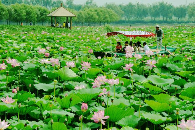 惊艳燕赵大地！河北必去景点TOP10(图3)