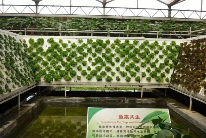 【农业地理】天哪原来这就是现代农业太震撼了！高考常考的专题！(图30)