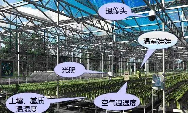 【农业地理】天哪原来这就是现代农业太震撼了！高考常考的专题！(图33)