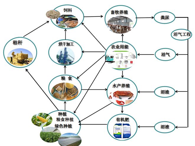 【农业地理】天哪原来这就是现代农业太震撼了！高考常考的专题！(图55)