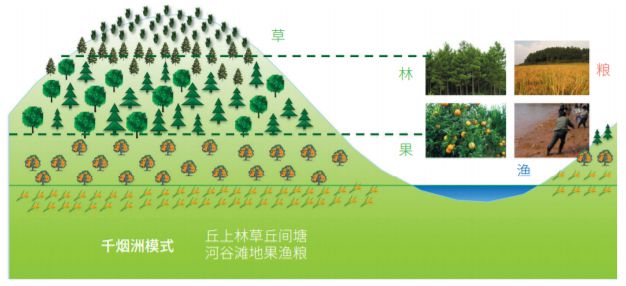 【农业地理】天哪原来这就是现代农业太震撼了！高考常考的专题！(图56)