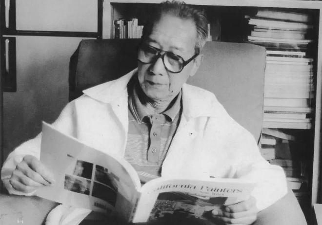 上海这个小茶亭被誉为“中国现代园林坐标点”竟然还没“出圈”！4个月建成修缮却用了两年(图3)