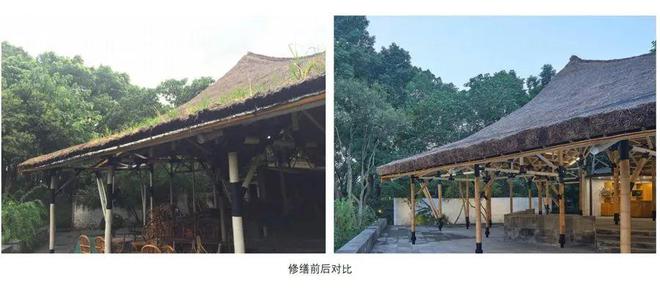 上海这个小茶亭被誉为“中国现代园林坐标点”竟然还没“出圈”！4个月建成修缮却用了两年(图11)