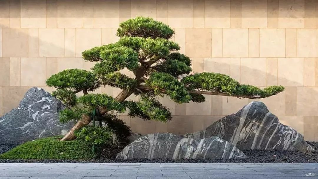 华泰西苑二期平墅品质提升完美兑现园林景观焕新提前“剧透”(图6)