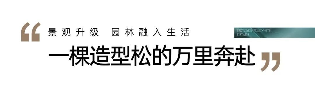 华泰西苑二期平墅品质提升完美兑现园林景观焕新提前“剧透”(图5)