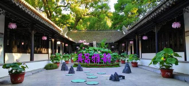一步一景在江南园林中近距离感受荷莲雅韵上海荷花睡莲展推出多重福利(图1)