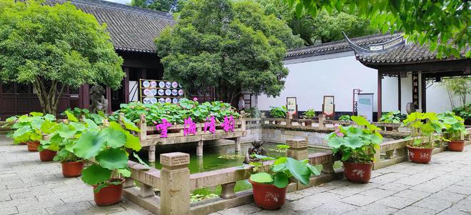 一步一景在江南园林中近距离感受荷莲雅韵上海荷花睡莲展推出多重福利(图5)
