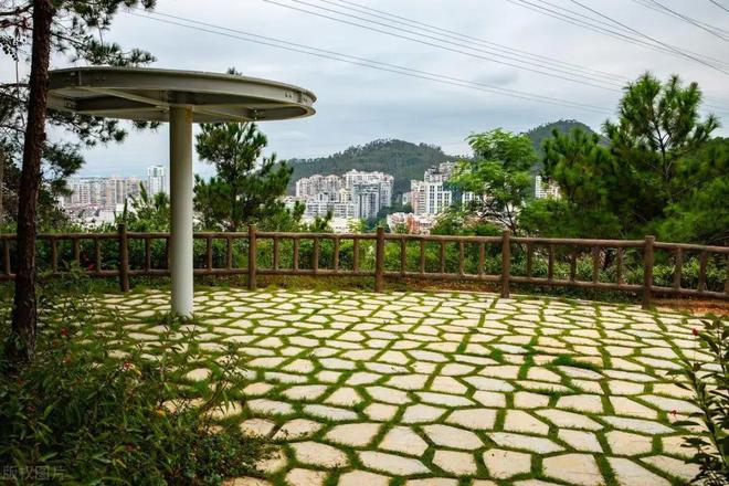 福建厦门旅游景点推荐最值得打卡的27个厦门旅游景点！赶紧收藏(图27)