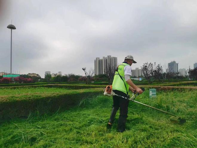 泰安市园林绿化管理服务中心：雨后除草护绿为城市绿化“减负”(图1)