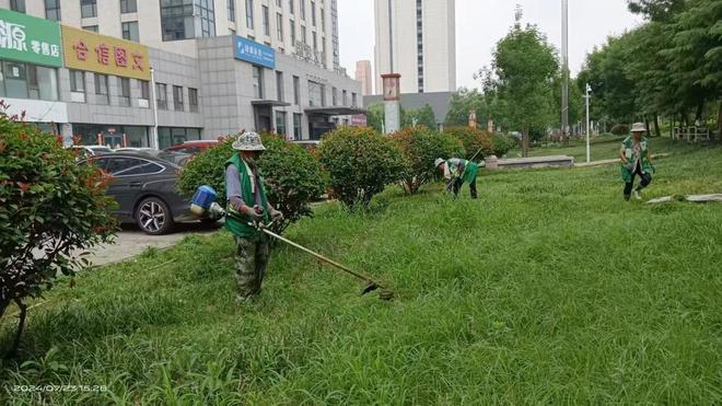 泰安市园林绿化管理服务中心：雨后除草护绿为城市绿化“减负”(图2)