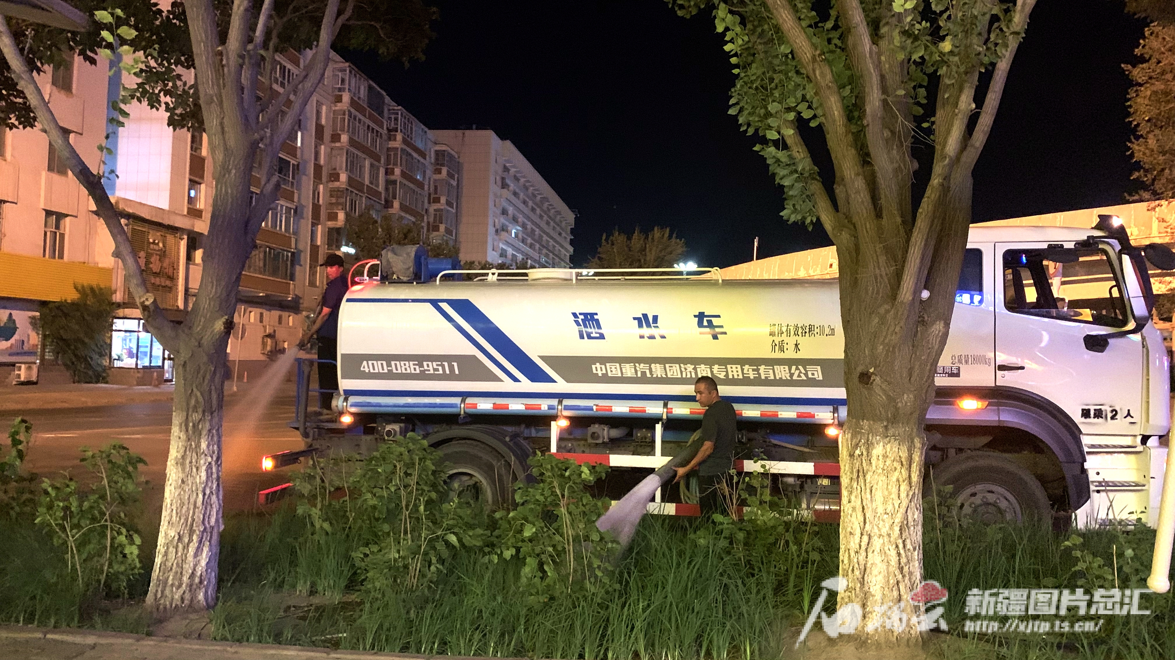 乌鲁木齐园林部门夜间给街头花草灌木“补水续命”(图2)