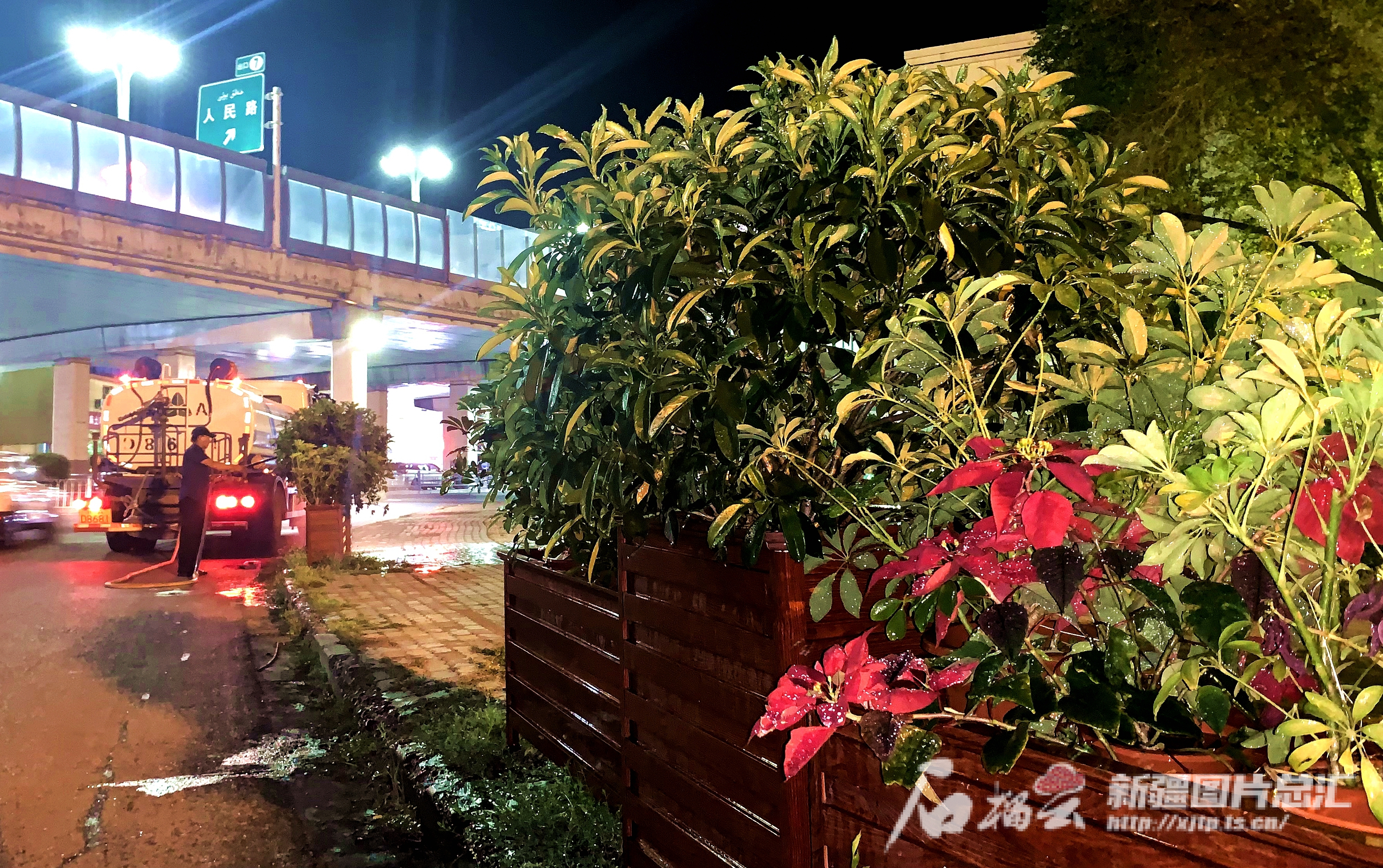 乌鲁木齐园林部门夜间给街头花草灌木“补水续命”(图3)