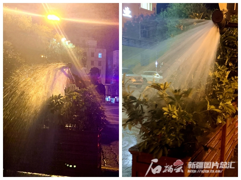 乌鲁木齐园林部门夜间给街头花草灌木“补水续命”(图4)