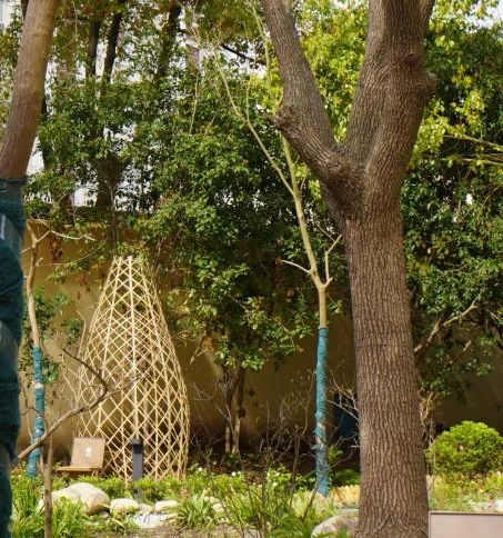 Kaiyun体育网站：新泾镇又一座生境花园建成开放啦！(图6)