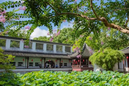 Kaiyun（中国体育）：静谧而富有韵味沪上这些宝藏公园领略中国文化(图7)