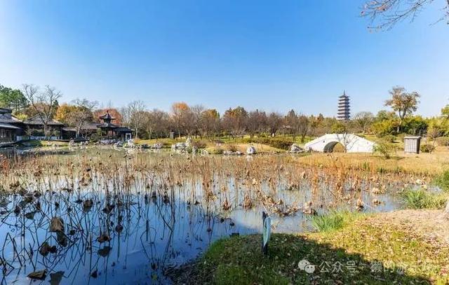 扬州之旅：2博物馆、瘦西湖、大运河(图2)