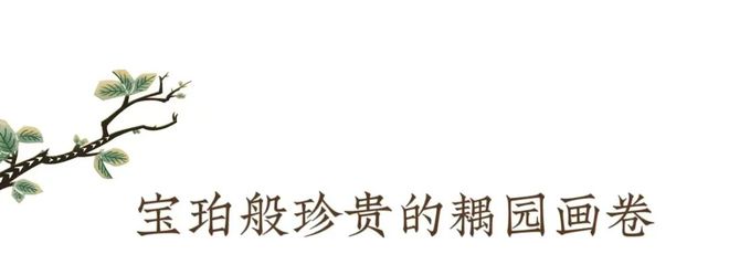 Kaiyun体育网站：天津格调宝珀花园售楼处电话→宝珀花园售楼处地址→最新电话(图3)