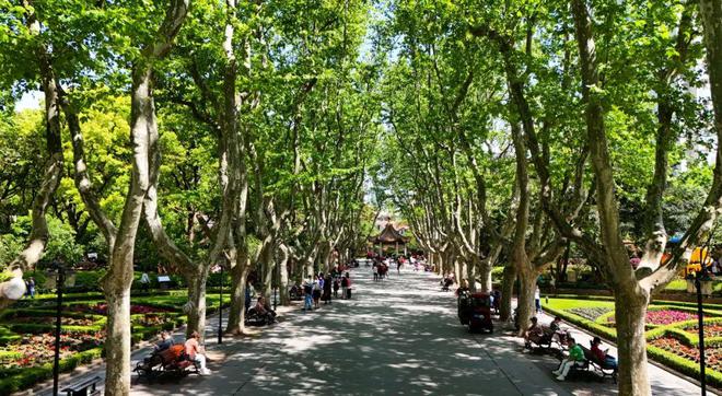 【乐游】逛完上海书展顺路还可逛逛周边这些公园→(图7)