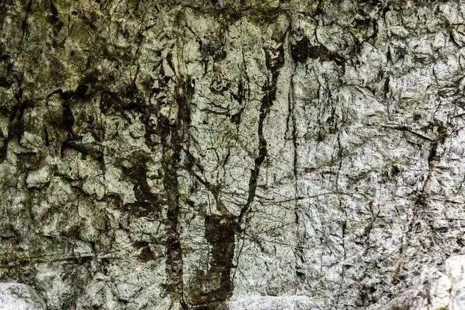 超100万人同时在玩今早这只猴子刷屏！吴承恩在十五奎巷写过《西游记》？一场相隔数百年的“双向奔赴”(图12)